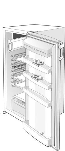 Gorenje HTS2126/01 RB4218W 287481 Koelkast Sluiting