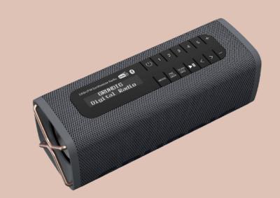 Grundig Band Black GLR7758 4013833042952 onderdelen en accessoires